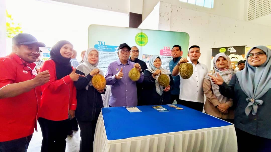 Ilustrasi durian tempoyak untuk artikel Durian yak jadi alternatif saat harga buah melimpah