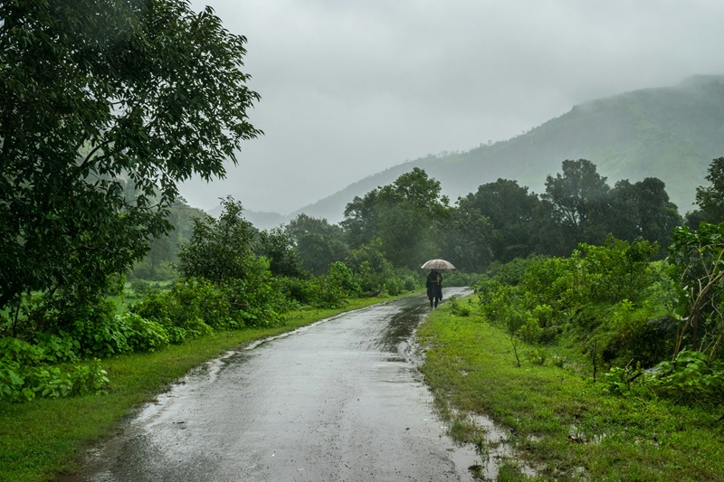 Ilustrasi western ghats monsoon untuk artikel Western Ghats Monsoon: Getaway Dekat Mumbai dan Bengaluru